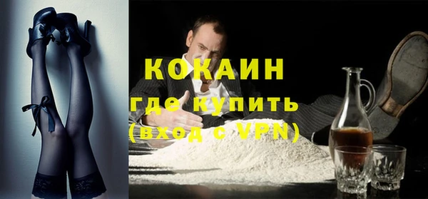 индика Арсеньев