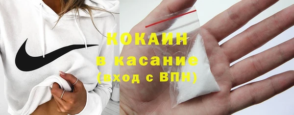 индика Арсеньев