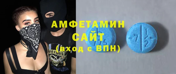 прущие грибы Балахна
