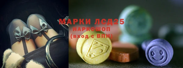 индика Арсеньев