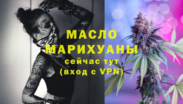 индика Арсеньев