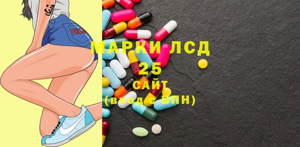 индика Арсеньев