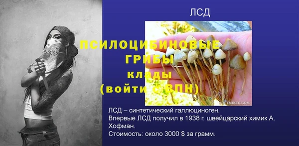 тгк Армянск