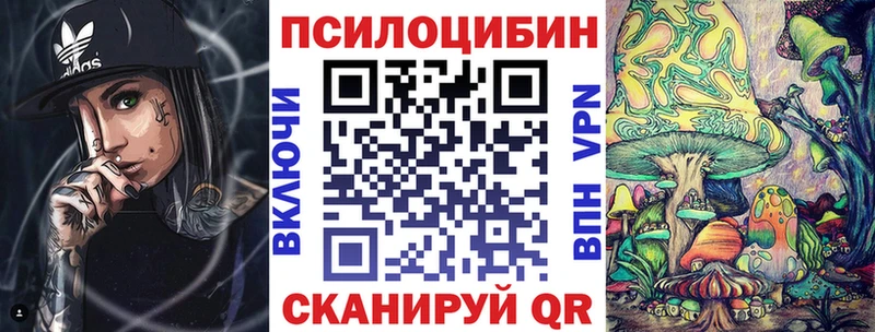 купить закладку  Шатура  Галлюциногенные грибы Psilocybe 