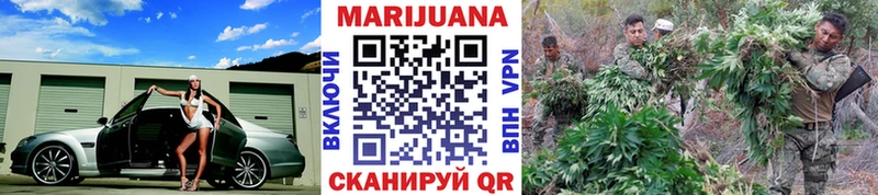 Марихуана сатива  Шатура 